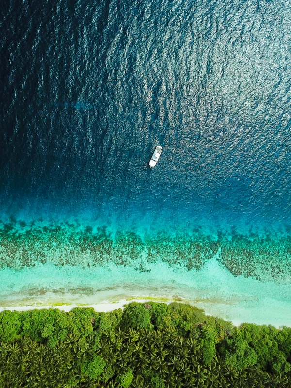 Coastal Conservation: Protecting Our Coastline for a Sustainable Future