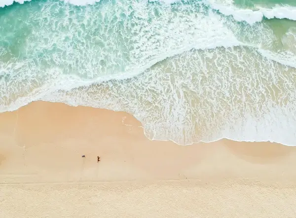 Coastal Conservation: The Urgent Call to Protect Our Beaches and Oceans